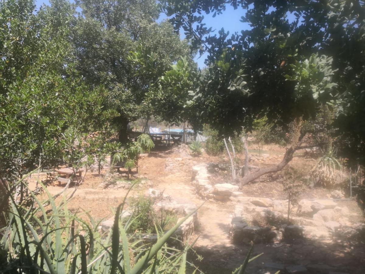 בקתת עץ בחורש במנות - דום גיאודזי - Wooden Cabin In Manot Экстерьер фото