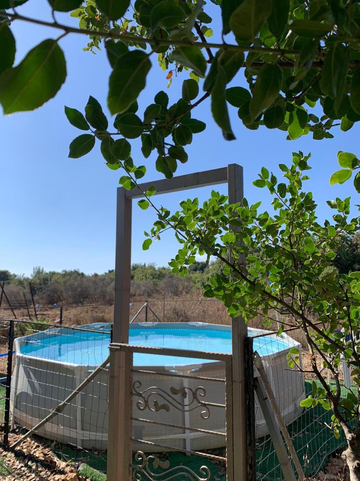 בקתת עץ בחורש במנות - דום גיאודזי - Wooden Cabin In Manot Экстерьер фото