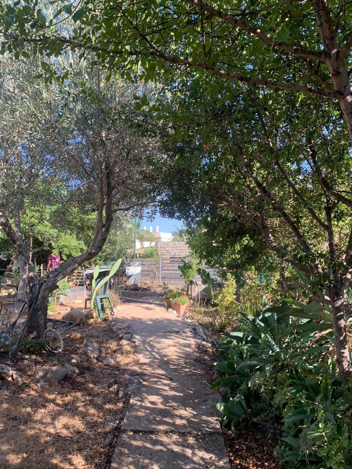 בקתת עץ בחורש במנות - דום גיאודזי - Wooden Cabin In Manot Экстерьер фото