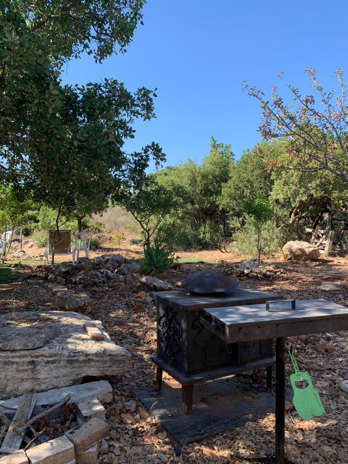בקתת עץ בחורש במנות - דום גיאודזי - Wooden Cabin In Manot Экстерьер фото